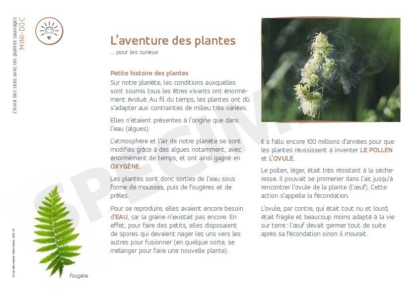 galerie mai aventure des plantes