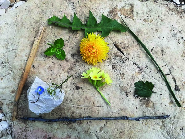 tableau nature de Boîte à ficelles