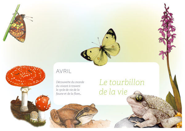 Couverture du mois d'avril: Le tourbillon de la vie