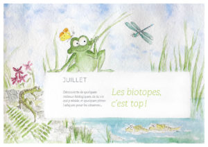 Couverture du mois de juillet de Boîte à ficelles