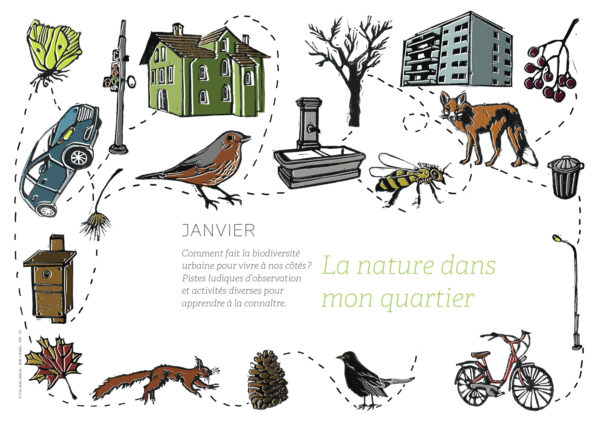 Janvier: La nature dans mon quartier de Boîte à ficelles